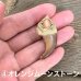 画像11: 【ツキノワグマ】天然石ペンダントトップ(ホンモノ素材）