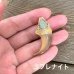 画像9: 【ツキノワグマ】天然石ペンダントトップ(ホンモノ素材）