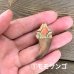 画像5: 【ツキノワグマ】天然石ペンダントトップ(ホンモノ素材）
