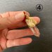 画像12: ヘビ骨と水晶のペンダントトップ