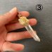 画像10: ヘビ骨と水晶のペンダントトップ